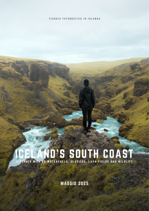 Iceland's South Coast