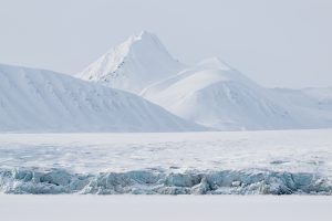 Dreaming of the Poles