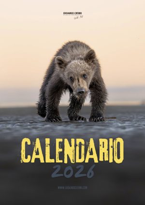 Calendario Wildlife 2026